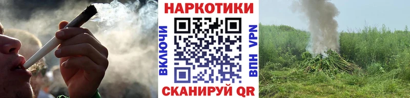 Виды наркотиков купить Камышин Альфа ПВП  MDMA  Меф мяу мяу  LSD-25  COCAIN  Канабис  Гашиш 