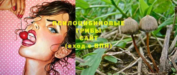 ECSTASY Алексин