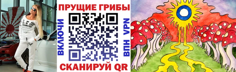 хочу   Камышин  Галлюциногенные грибы MAGIC MUSHROOMS 